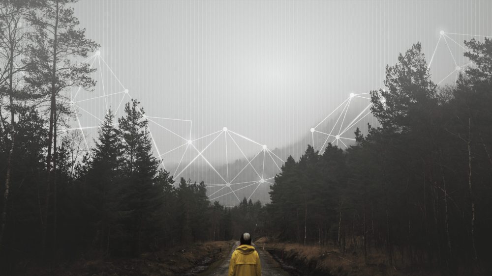 rear-view-woman-yellow-windbreaker-standing-misty-forest